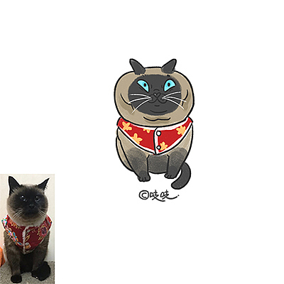 猫咪画像合集（图ZMTM2MDYzNTcy） - 创作习作 - 站酷设计师zhizhi吱吱原创素材 - 站酷ZCOOL
