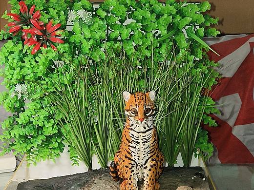 首次尝试做了一个猫科动物体才得场景模型