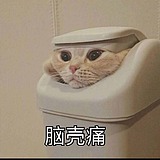 听雨寄余生的头像