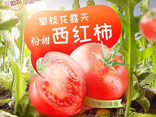 小时候的西红柿详情页——攀枝花米易西红柿