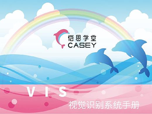 VIS手册设计