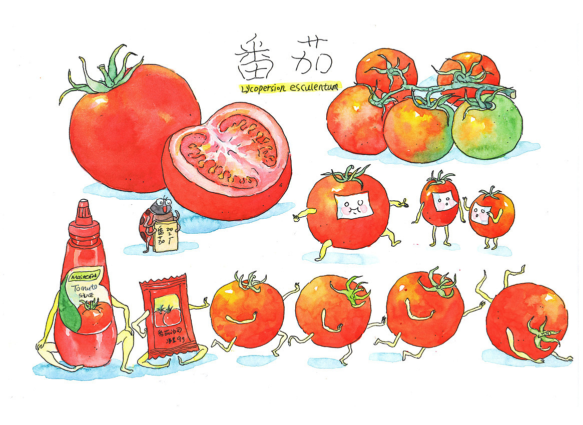 《水果的秘密》（图ZMjgxMTU0Njg4） - 创作习作 - 站酷设计师灰猫大米原创素材 - 站酷ZCOOL