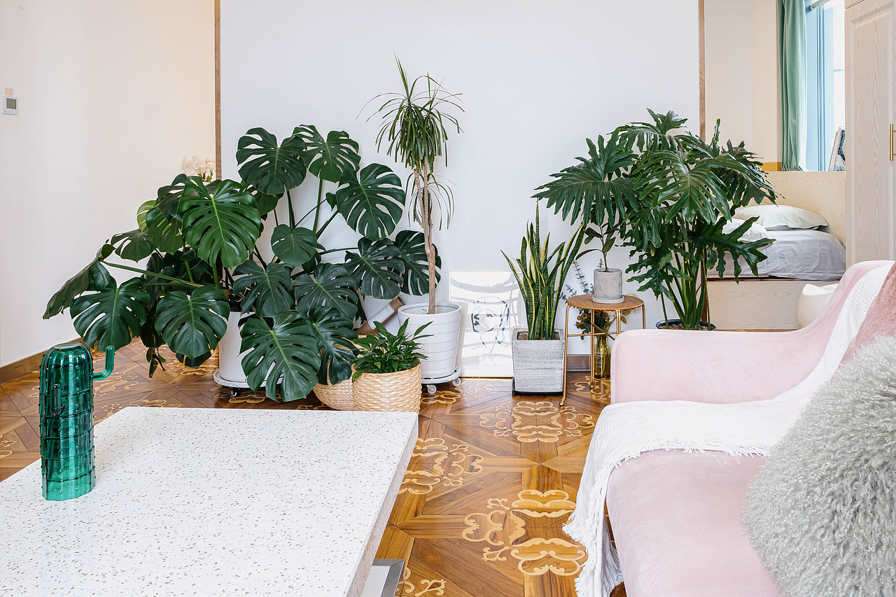 苏州Airbnb民宿拍摄 室内摄影 民宿摄影