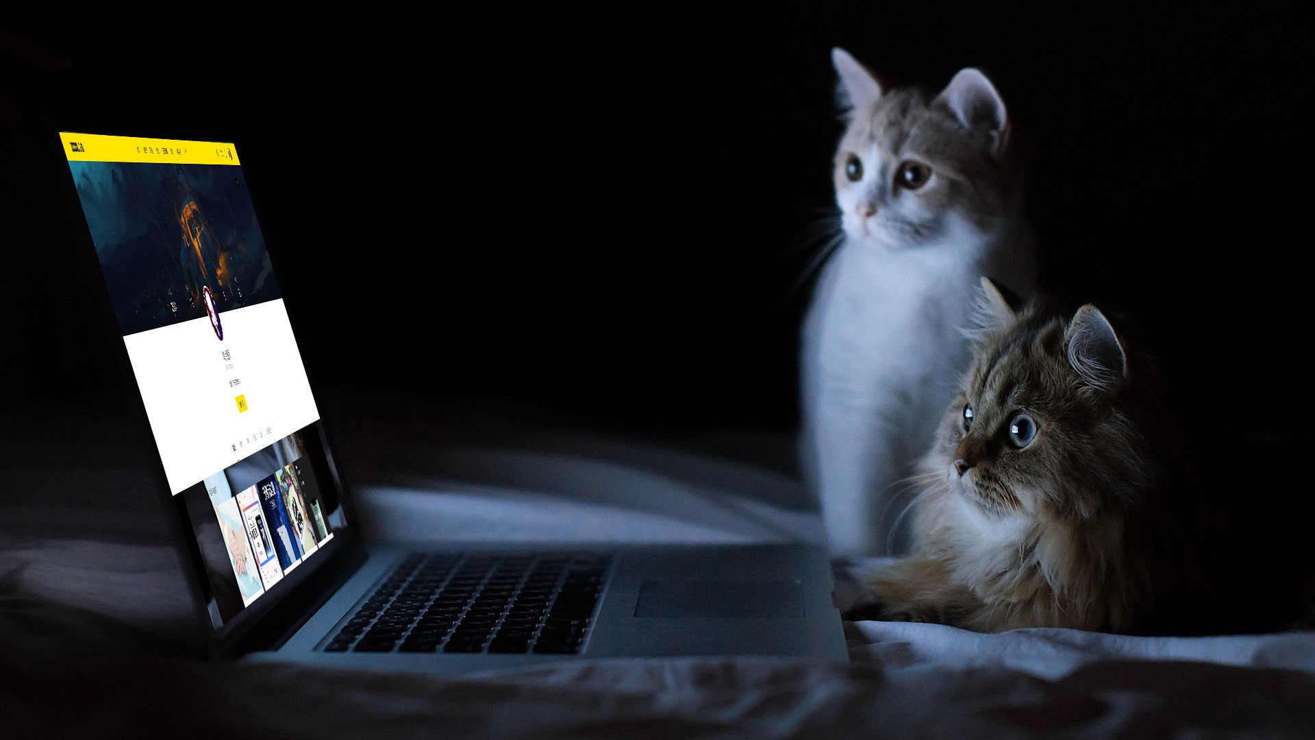 烧酒蘸豆腐的个人主页（背景预览） - 主页背景设置 - 站酷设计师烧酒蘸豆腐原创素材 - 站酷ZCOOL