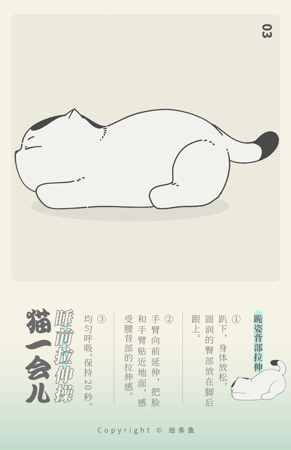 【猫一会儿】睡前健身操