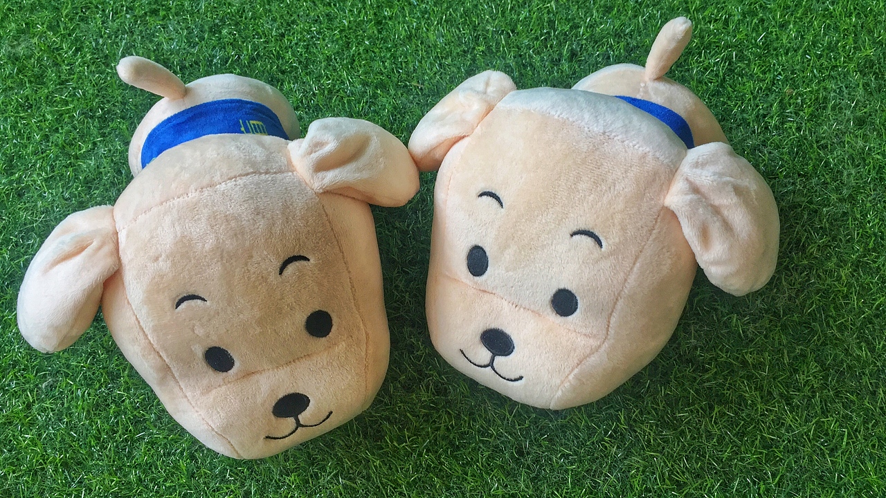 导盲犬周边义卖礼品——毛公仔