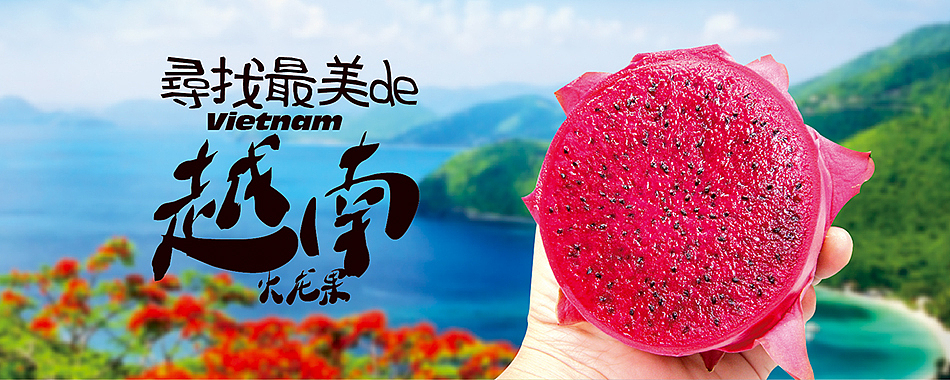 海南新鲜水果电商设计（图ZMTA3NTcxMzI0） - 运营设计 - 站酷设计师hbtwo原创素材 - 站酷ZCOOL