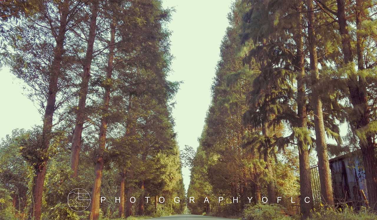 秋天都过完了，我却只是这些图片了（图ZMTg1OTQ0NzE2） - 风光摄影 - 站酷设计师烂潮原创素材 - 站酷ZCOOL