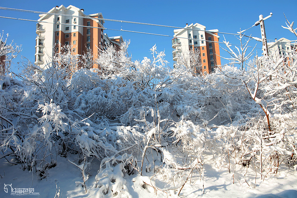 银装素裹的北京