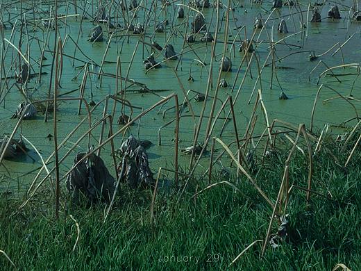 鄉野之間 | 無人之地（个人主页-ZNDMzNDk5MzI=） - 修图/后期 - 站酷设计师ZHIER之鹅原创素材 - 站酷ZCOOL