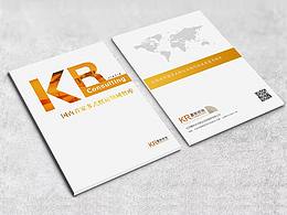 咨询公司宣传册封面