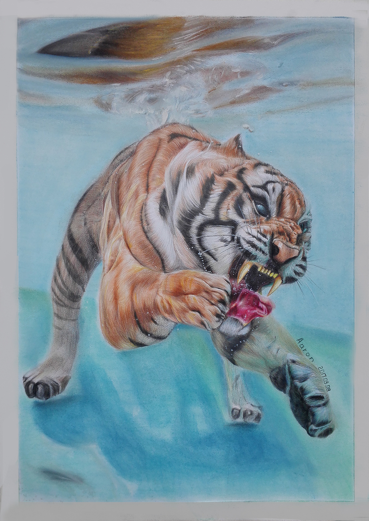 《水中虎》（图ZODY4NTE2NzI=） - 创作习作 - 站酷设计师Aaronzero原创素材 - 站酷ZCOOL