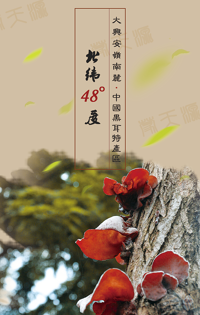 刚刚完成的h5页面。