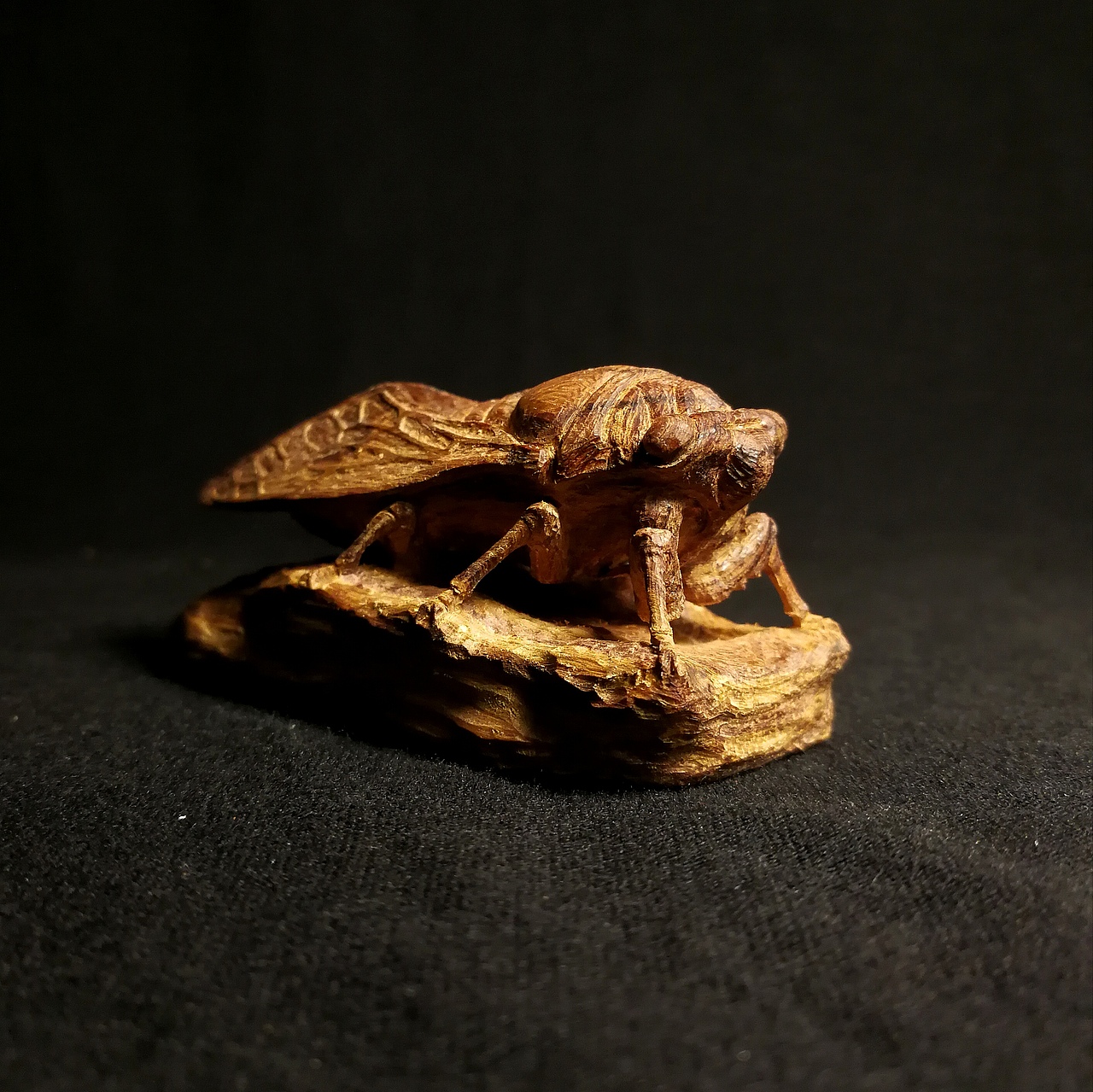 一只夏天--“知石”（圖ZODY5Mzc2MjA=） - 其他手工藝 - 站酷設計師LU_大俠原創(chuàng)素材 - 站酷ZCOOL