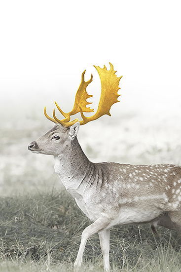 室内设计软装装饰画 只有有灵魂的画才能感受家的美好