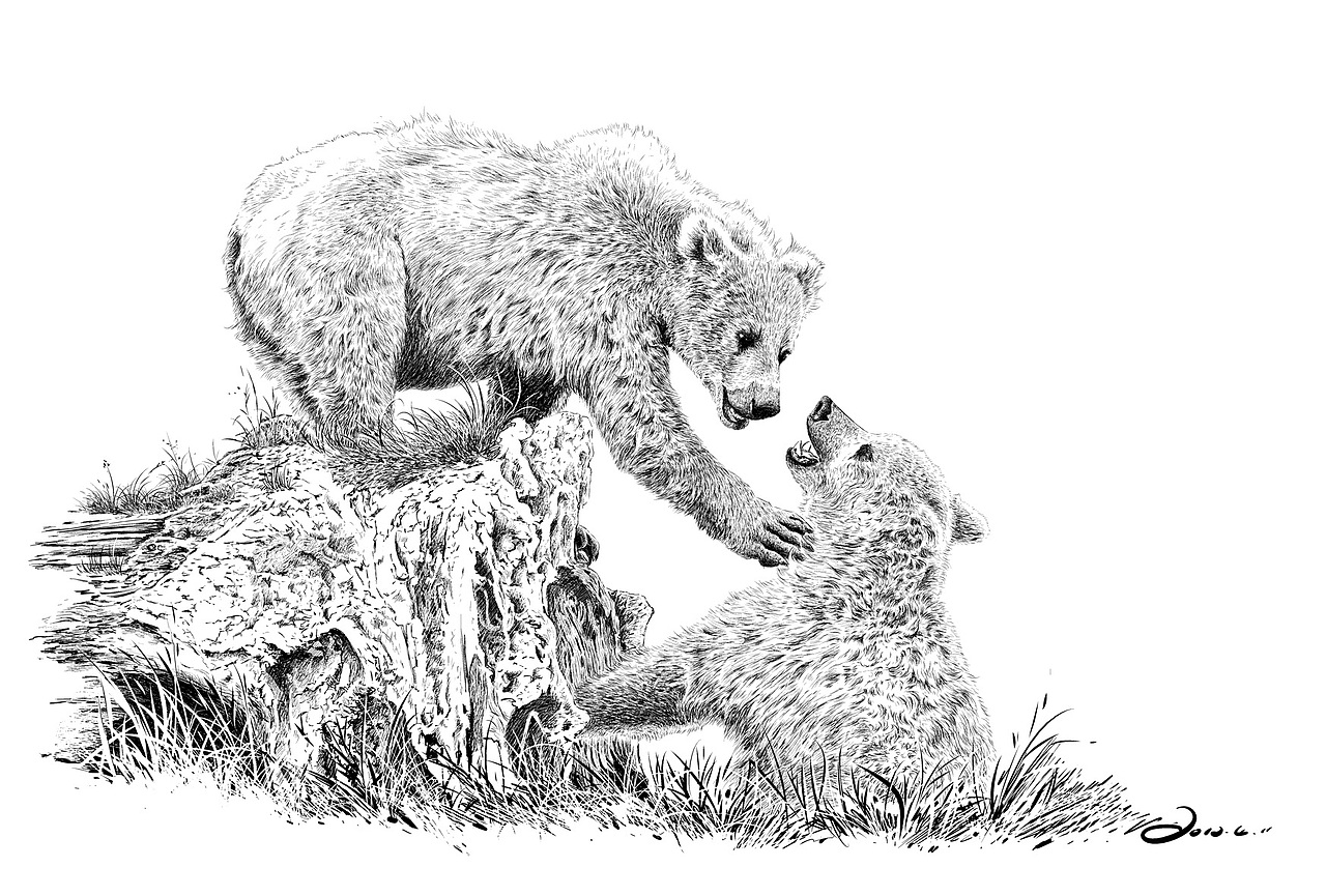 楚歌钢笔画-动物系列（图ZMTIxNDI5NDA=） - 艺术插画 - 站酷设计师楚歌76原创素材 - 站酷ZCOOL