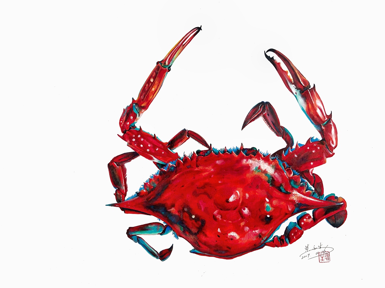 中秋节后曾随手涂鸦了两只螃蟹,一只是大闸蟹,一只是梭子蟹.