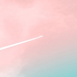 illumia的头像