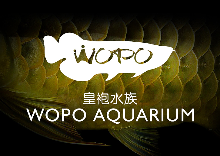 WOPO-皇袍水族VI