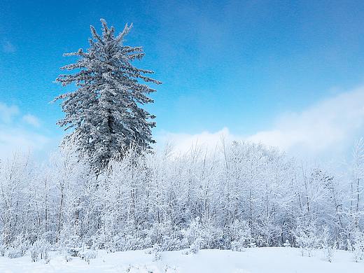 2017年的吉林第一场雪