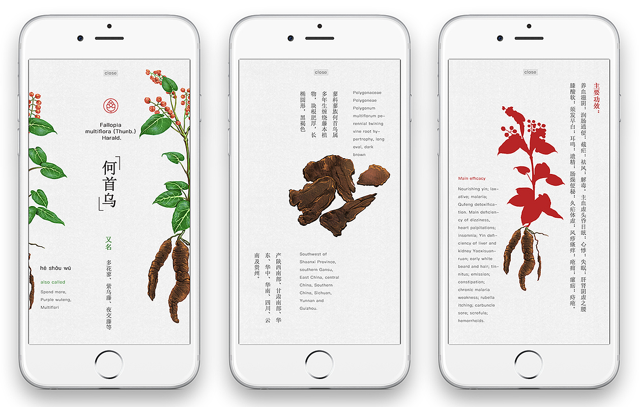 中药科普APP（图ZNjU4NDkyMDA=） - APP界面 - 站酷设计师大眼儿的原创素材 - 站酷ZCOOL