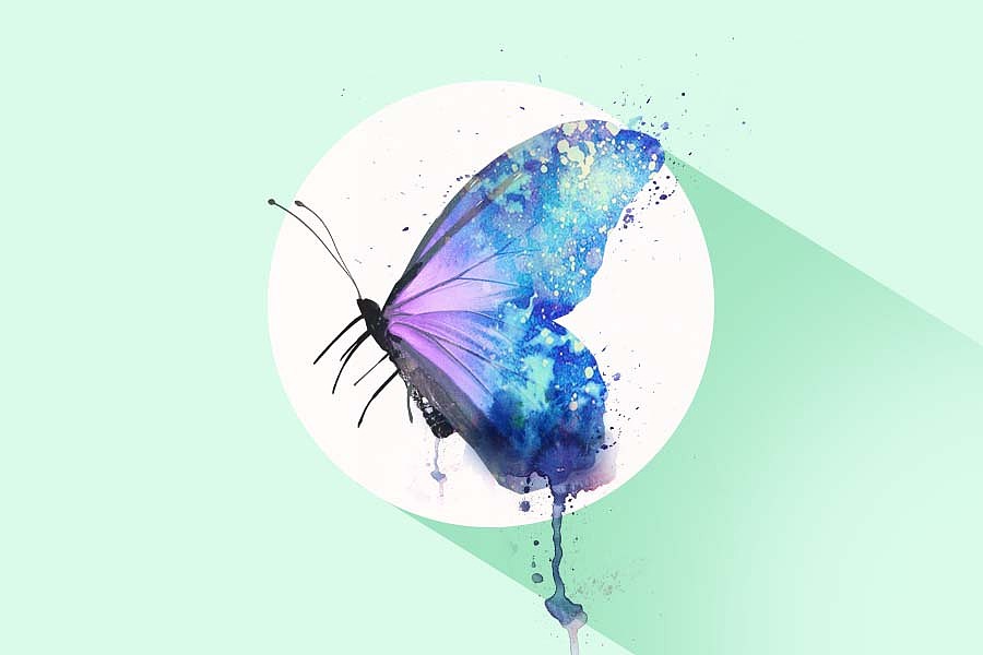 练习 水彩蝴蝶一只