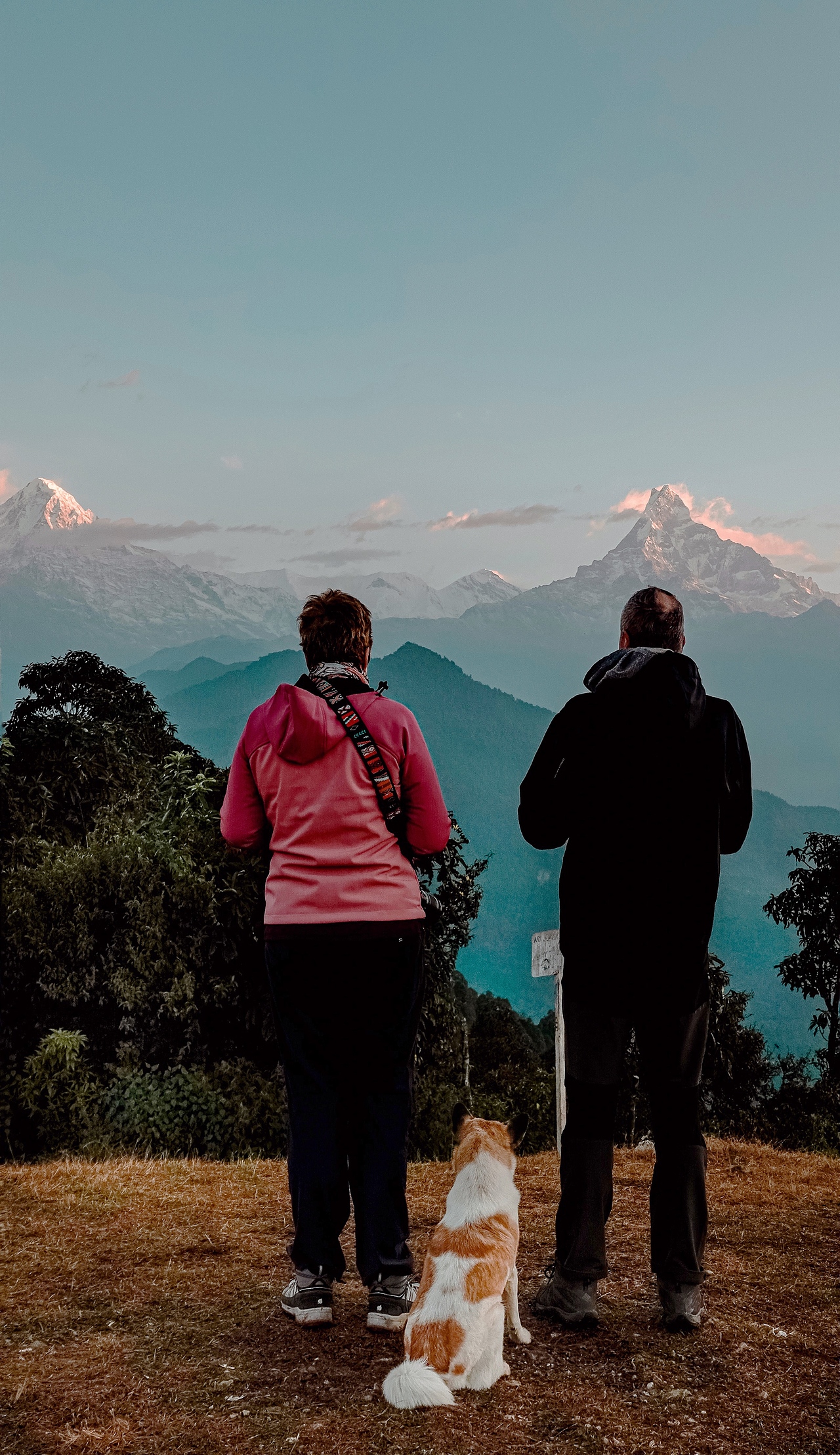 把背影纪实瞬间拼成一幅画