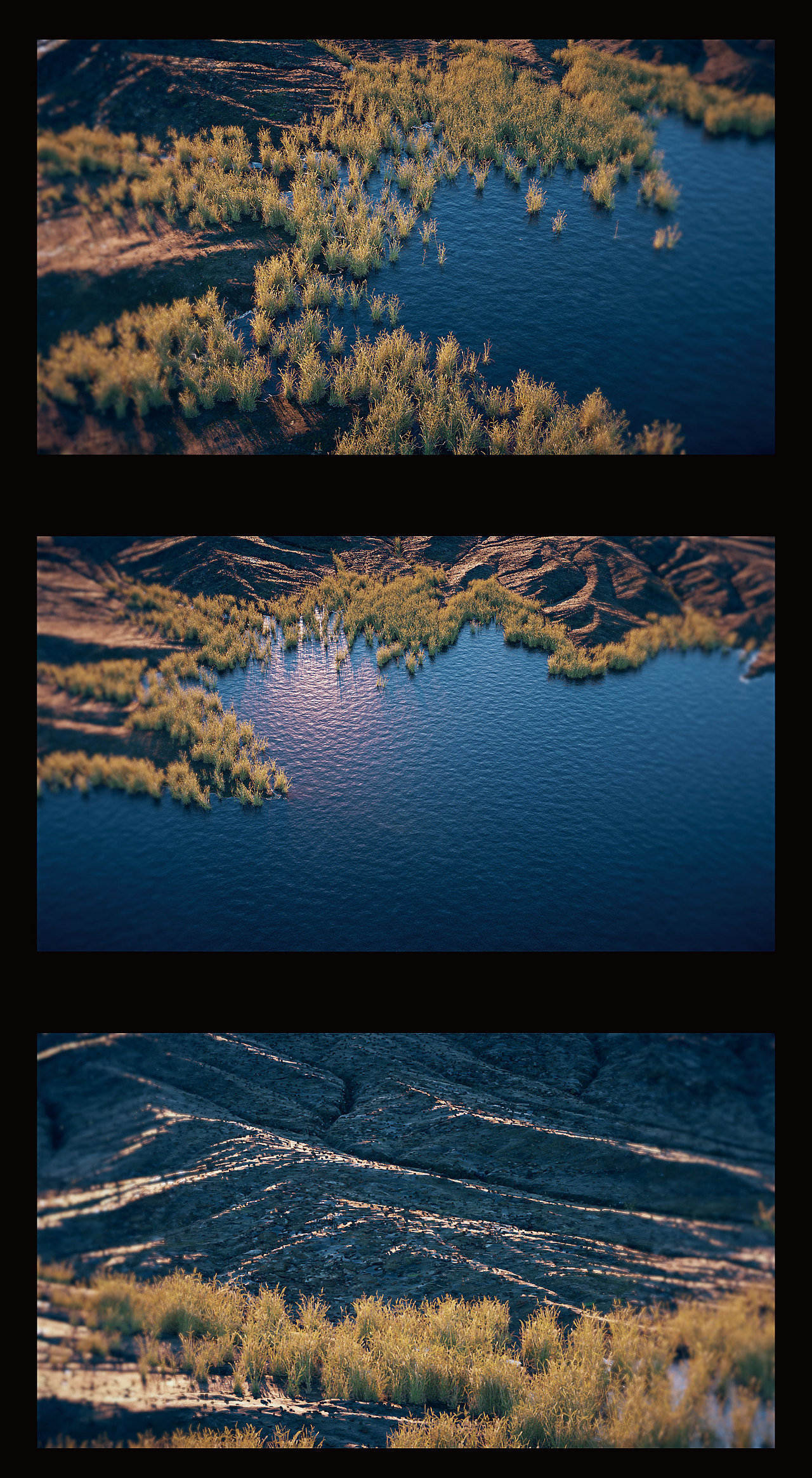 2021年终渲染总结