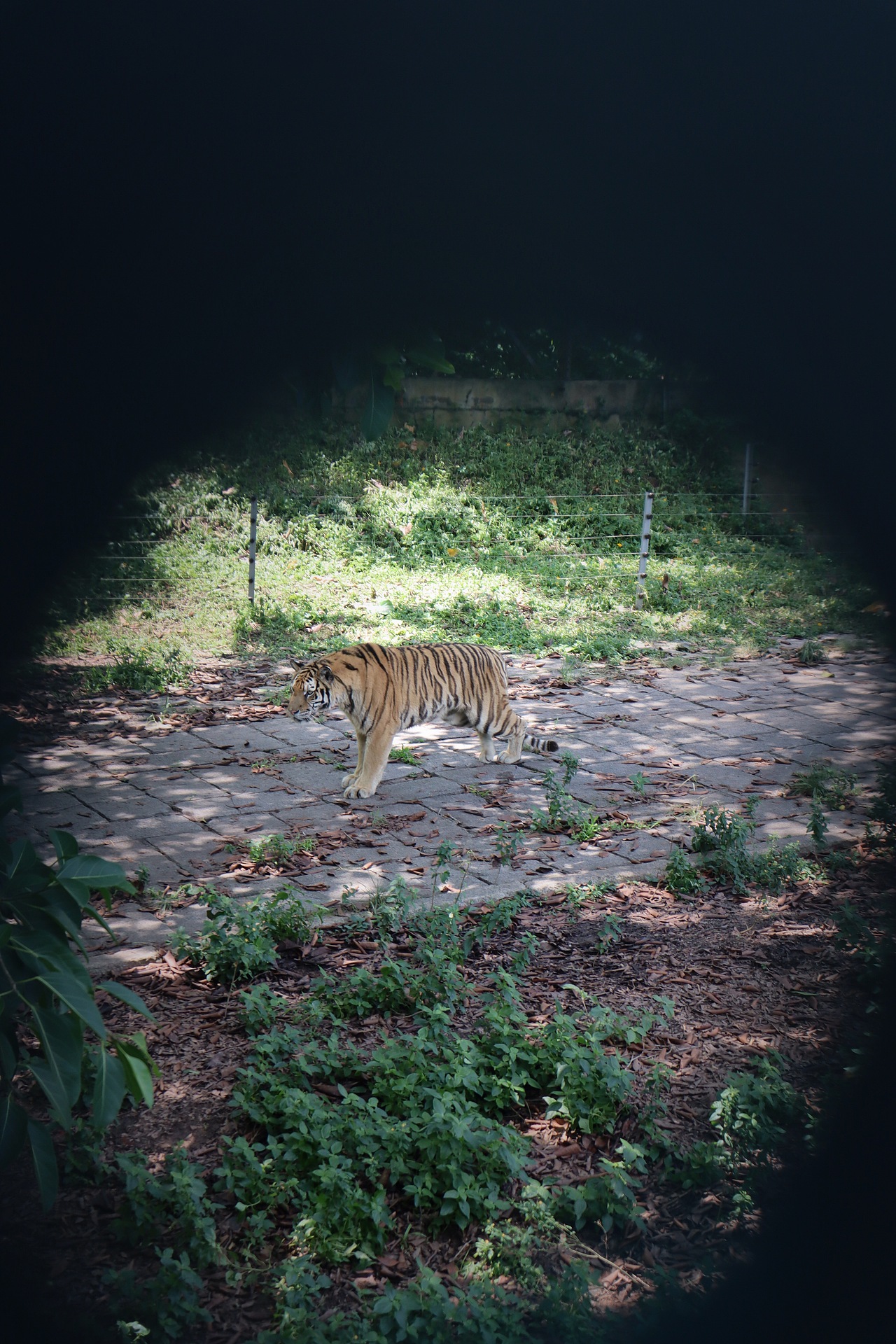动物园里的他们