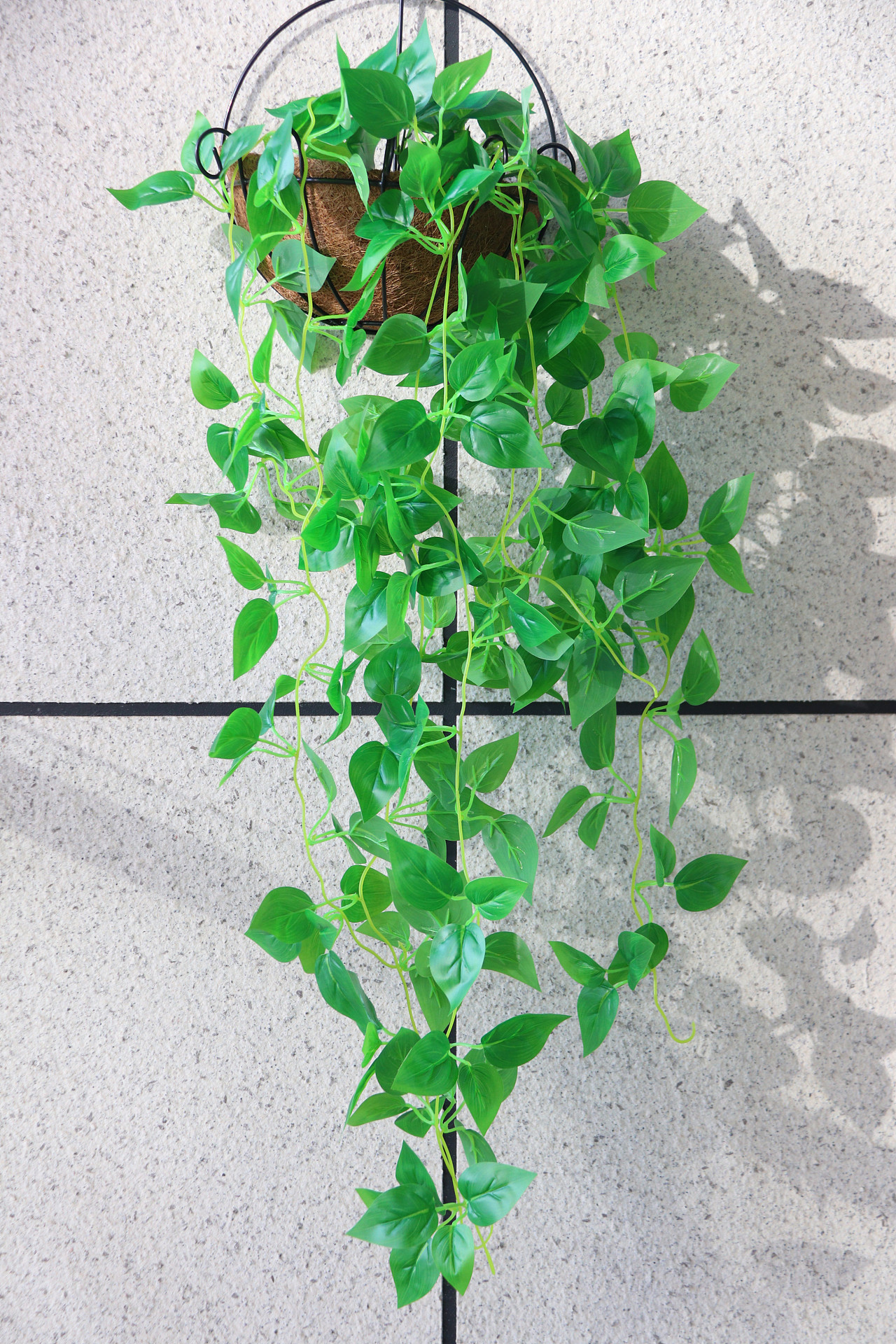 家居饰品c10-仿真花v03仿真绿萝|摄影|产品摄影|图海网 - 原创作品