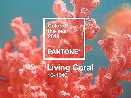 2019年度流行色～珊瑚红/珊瑚橘Living Coral及配色方案