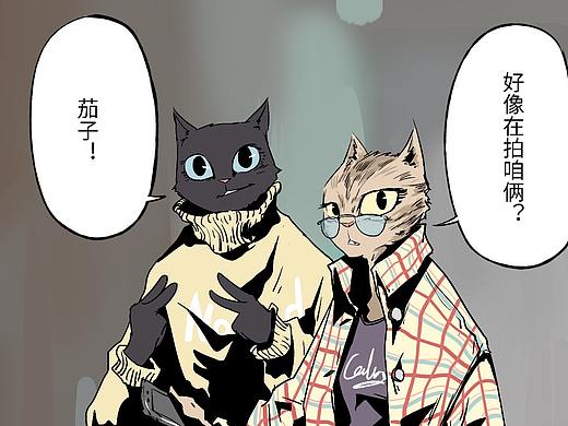 全是猫
