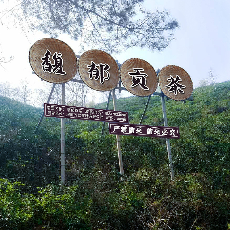 森林茶叶林茶叶调色及文字处理中修（图ZMTA5OTY4MDMy） - 宣传物料 - 站酷设计师名剑风流GG原创素材 - 站酷ZCOOL