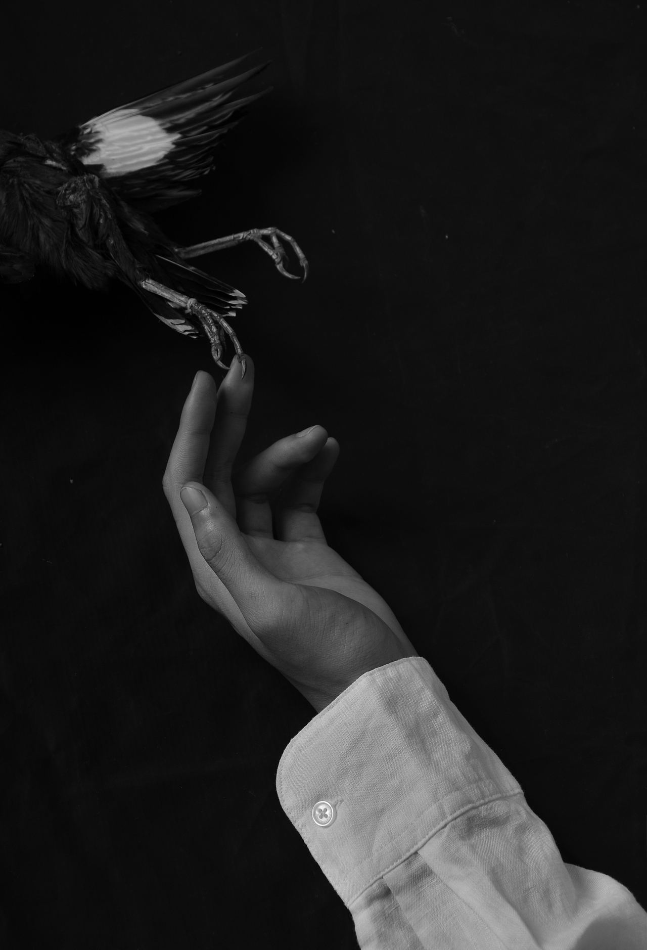 【思念的墓园】