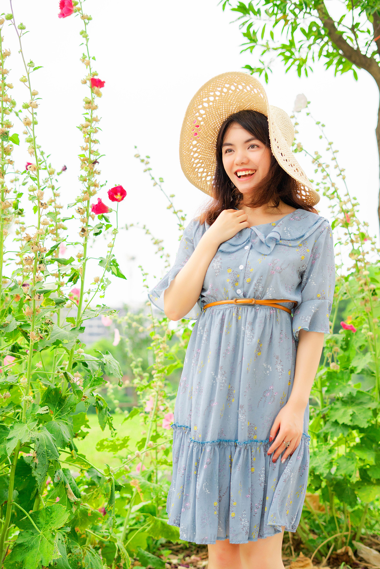 西部世界上——德洛丽丝开始了新的一天