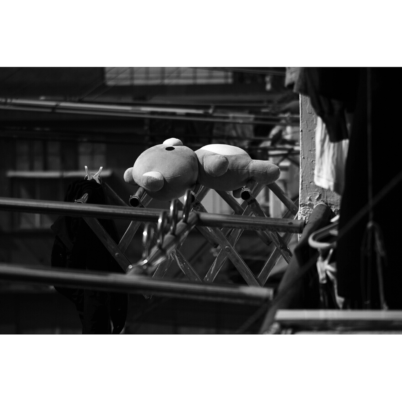 萬物屬靈 蠢蠢欲動（圖ZMjIzMDY2NDYw） - 人文/紀(jì)實攝影 - 站酷設(shè)計師溜直的一個彎原創(chuàng)素材 - 站酷ZCOOL