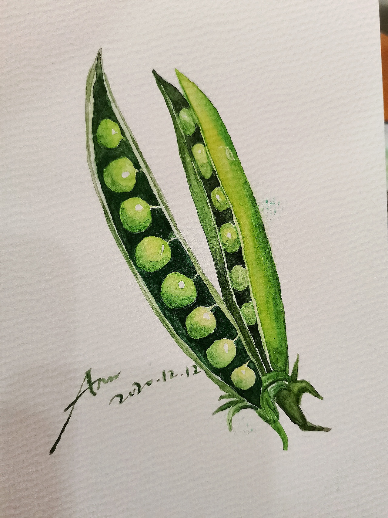 水彩…豌豆