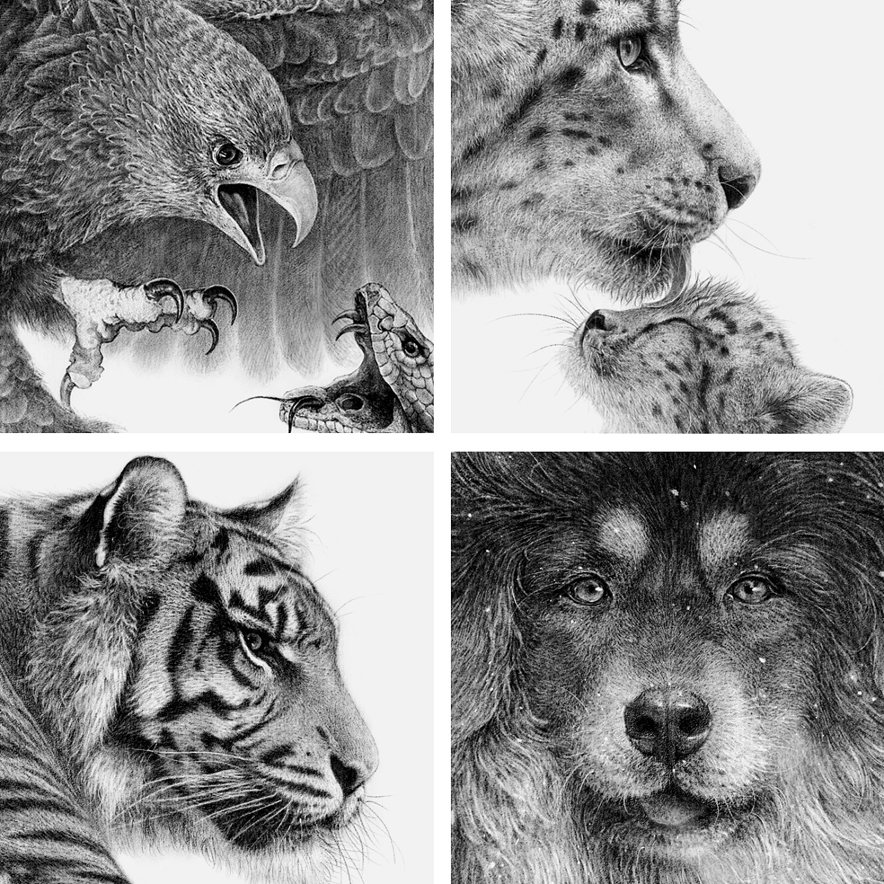 手绘素描 - 动物系列|纯艺术|绘画|OCMAY - 原创作品 - 站酷 (ZCOOL)