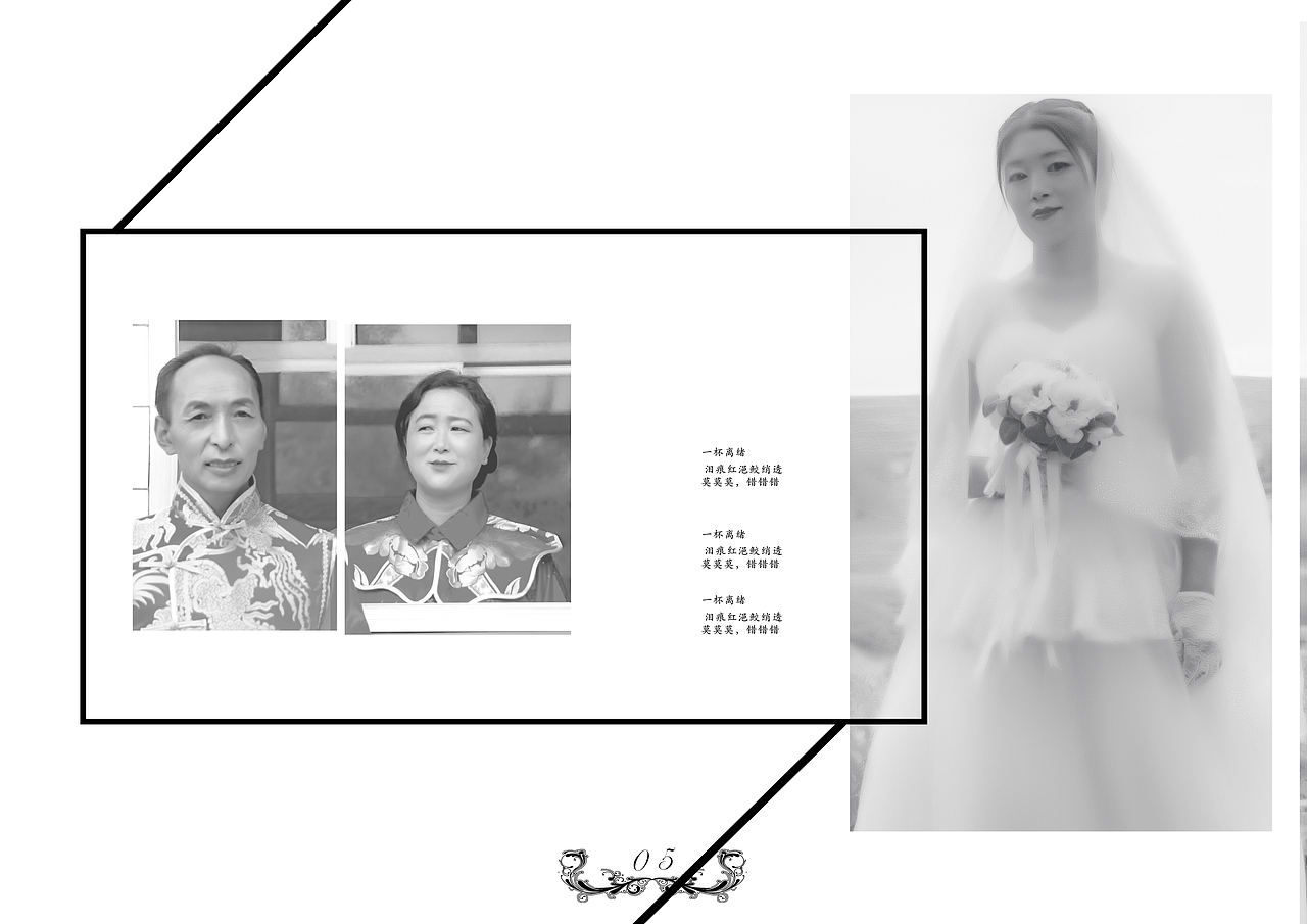 《婚纱上的尘埃》摄影集