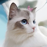 猫玖酒的头像
