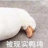 smile1996的头像