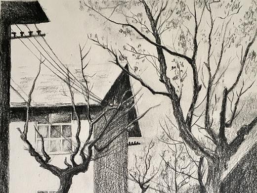 静心黑白（个人主页-ZMzUwMDMzNzY=） - 创作习作 - 站酷设计师大只包原创素材 - 站酷ZCOOL