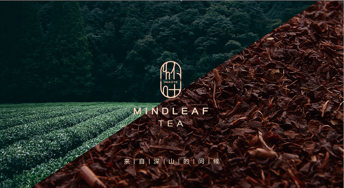 怀叶品牌设计|茶叶品牌|怀叶茶品|东德设计（图ZMTIyODI3NjY0） - 品牌 - 站酷设计师东德品牌设计原创素材 - 站酷ZCOOL