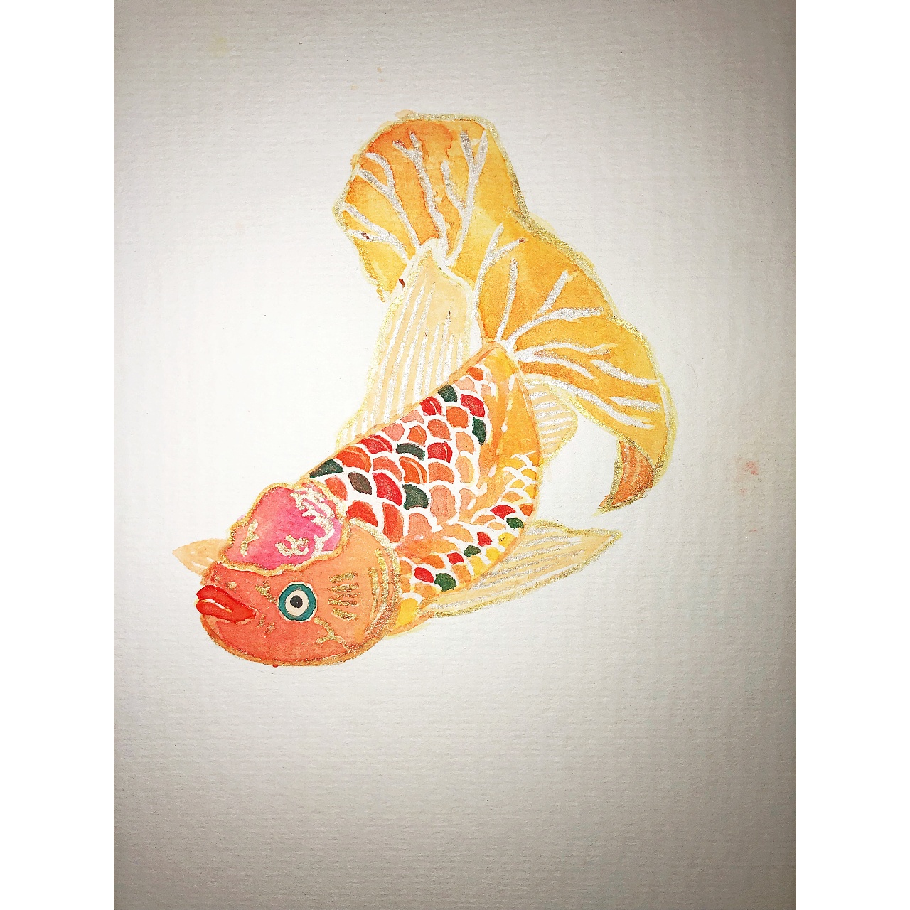金鱼|插画|插画习作|鲲鲲xi - 临摹作品 - 站酷 (ZC