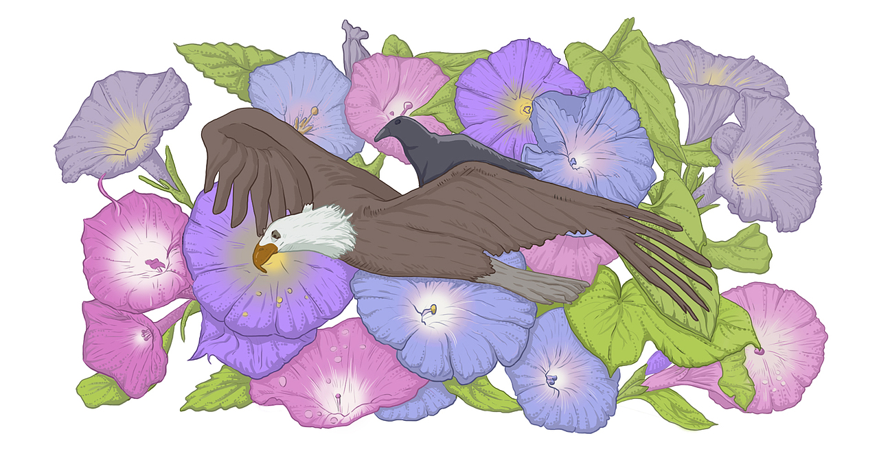 花店之十二星座