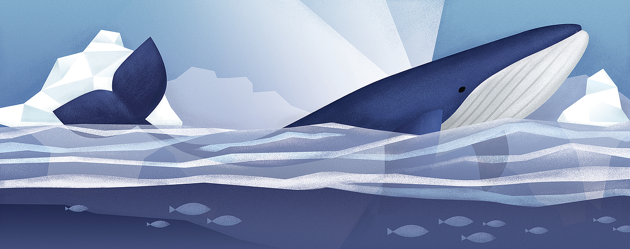 原创海洋系列墙纸插画设计（图ZMTUyNTczMTM2） - 商业插画 - 站酷设计师AIJIA奶茶佳原创素材 - 站酷ZCOOL