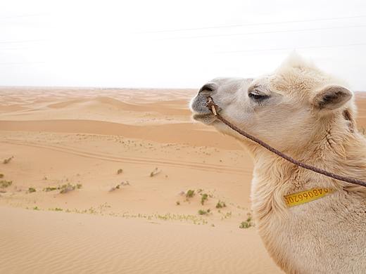 2019年新疆风格随拍