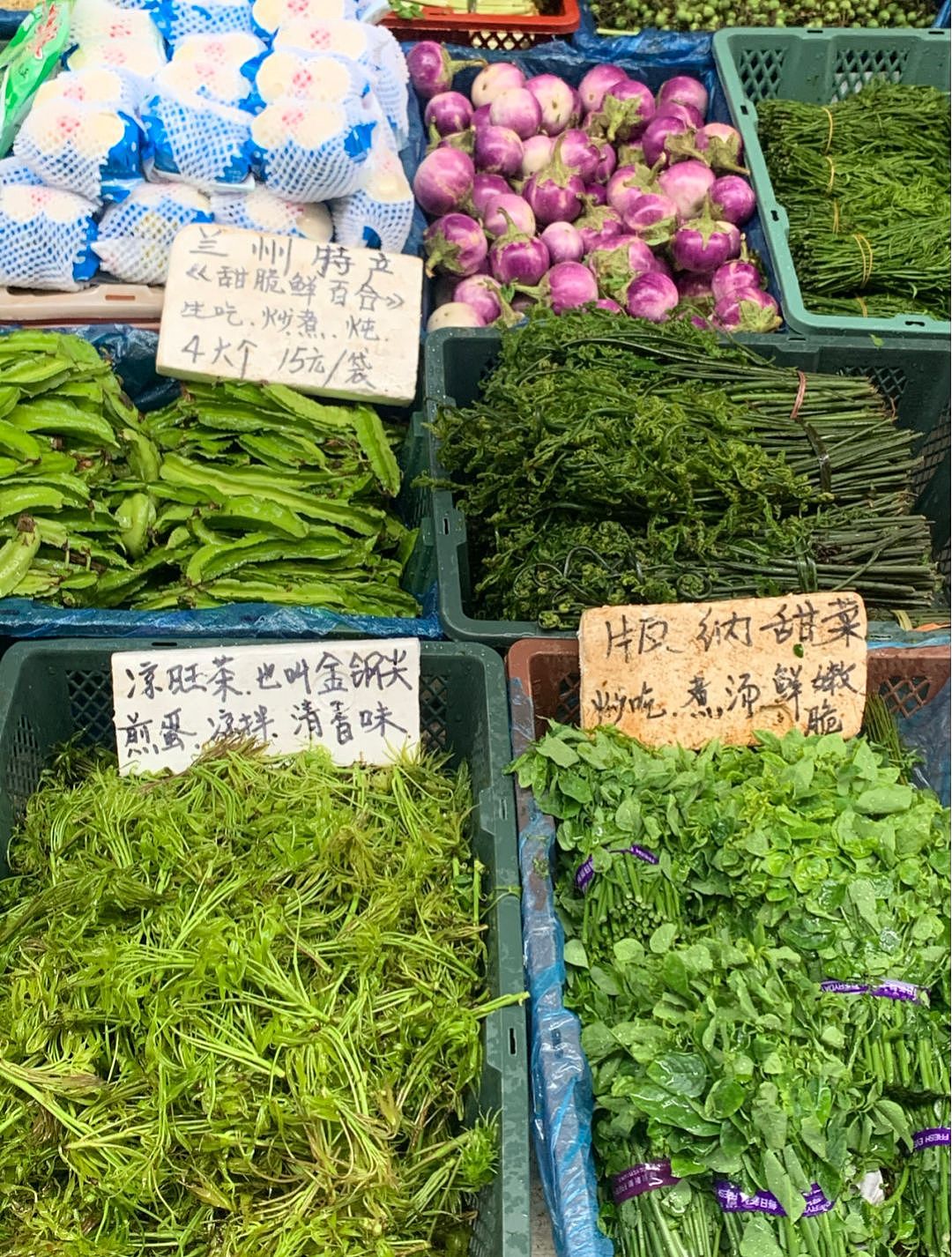 日常随手拍（图ZMzQzNzYzODky） - 风光摄影 - 站酷设计师唯美随者者原创素材 - 站酷ZCOOL