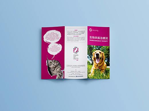 三折頁(yè)（寵物治療）（個(gè)人主頁(yè)-ZMjUwMzgxNjg=） - 宣傳物料 - 站酷設(shè)計(jì)師滿貳喜原創(chuàng)素材 - 站酷ZCOOL