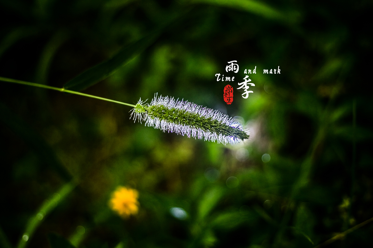 《雨季》（图ZOTQ0NzQzODA=） - 风光摄影 - 站酷设计师郑墨丶初言原创素材 - 站酷ZCOOL